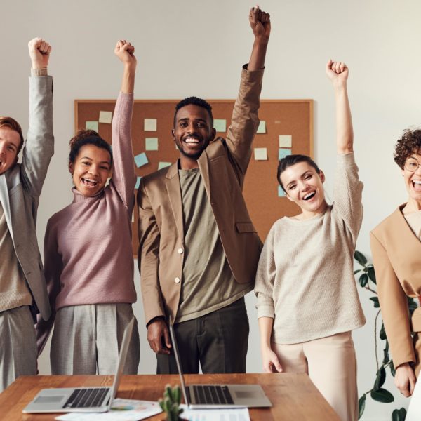 Nos entreprises partenaires recrutent !